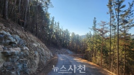 사천시 정동면 객방~북상 간선임도 5.7km 개통 < 생생뉴스 < 사회 < 기사본문 - 뉴스사천 사천시 정동면 객방~북상 간선임도 5.7km 개통