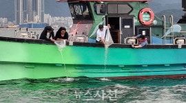 금꾸미로 불리는 삼천포 주꾸미···어획량 회복 가능할까 < 생생뉴스 < 경제 < 기사본문 - 뉴스사천 금꾸미로 불리는 삼천포 주꾸미···어획량... 