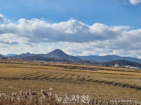 새를 살리는 일이 마을을 살릴 수 있을까 < 광포만 이야기 < 연재 < 기사본문 - 뉴스사천 새를 살리는 일이 마을을 살릴 수 있을까
