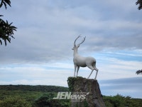 (현장포커스) 한라산 전설 속 백록이..예쁘게 새 단장했네.. < 포토뉴스... (현장포커스) 한라산 전설 속 백록이..예쁘게 새 단장했네.. - 제주환경일보