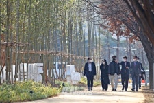 ‘서귀포시 516로 가로수’ 싱그러운 녹색도시, 잘 가꾼 도시숲... ‘서귀포시 516로 가로수’ 싱그러운 녹색도시, 잘 가꾼 도시숲 우수사례 선정... 