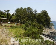 [향토문화] 도민들의 시체로 즐비했던 끔찍한 역사의 장소..서귀동... 시체로 즐비했던 끔찍한 역사의 장소..서귀동 소남머리학살터 - 제주환경일보