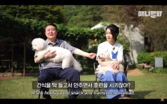 尹부부 “아이 가졌다가 잃게 돼”…‘유산 아픔’에 11마리 반려동물 입양 < 정치 < 뉴스 < 기사본문 - 뉴스톡톡 尹부부 “아이 가졌다가 잃게... 