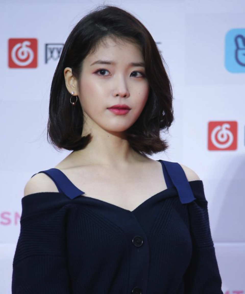 아이유, 허위 표절 고발 소송에서 승소 판결…3천만 원 손해배상 명령