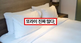 옥상서 벽 타고 아래로…전 연인 숙박 모텔 스토킹 침입한 20대 남성... 옥상서 벽 타고 아래로…전 연인 숙박 모텔 스토킹 침입한 20대 남성