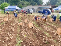 김포시 고촌읍회, 사랑의 행복감자 30박스 전달 < 지방연합회 < 지도자소식 < 기사본문 - 농업인신문 김포시 고촌읍회, 사랑의 행복감자 30박스 전달