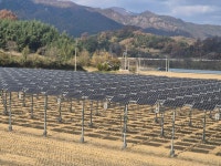 영농형 태양광, 벼 감수율 71%·51%? “사실과 달라” < 종합 < 뉴스 < 기사본문 - 농업인신문 영농형 태양광, 벼 감수율 71%·51%? “사실과 달라”