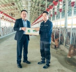 알지! 미네랄블록, 이제 일본 와규도 먹는다 < 농산업 < 농정 < 기사본문 - 농업인신문 알지! 미네랄블록, 이제 일본 와규도 먹는다