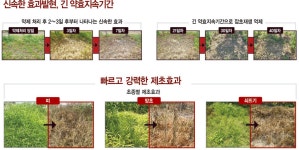 주목! 이 제품 - (주)한얼싸이언스 ‘타타타’ < 농산업 < 기사본문 - 농업인신문 주목! 이 제품 - (주)한얼싸이언스 ‘타타타’