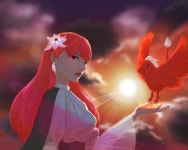 얀별님의 Like - 노트폴리오