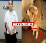 철구 강아지 발톱을 이렇게 관리해 왔다고? 동물학대 논란 해명 < 연예 < 기사본문 - 원픽뉴스 철구 강아지 발톱을... 