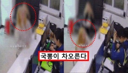 대한민국 경찰 이정도였어?... 지갑 잃은 러시아여성에게 한 경찰관 행동에 모두 경악했다 < 사회 < 기사본문 - 원픽뉴스 대한민국 경찰... 
