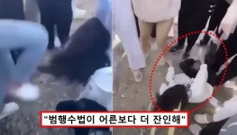 천안 집단 학폭, 초중생 30명이 여중생 1명에게 폭행 가한 이유는.. < 사회 < 기사본문 - 원픽뉴스 세게 때릴수록 환호.. 천안 집단 학폭, 초중생... 