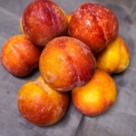 삼색조팝 포트 - 오너클랜 오너클랜 - 삼색조팝 포트