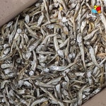 고바멸치 중 1.5kg - 오너클랜 오너클랜 - 고바멸치 중 1.5kg