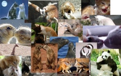 Pgr21 - [유머] 오늘은 화이트데이~ [유머] 오늘은 화이트데이~