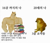 Pgr21 - [유머] 16세까지의 나 vs 20대의 나 [유머] 16세까지의 나 vs 20대의 나
