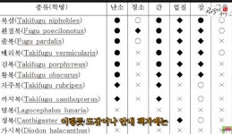 중앙수산 판매팀 23 | Pgr21 - [기타] 수산시장에서 생선살때 주의할 점 [기타] 수산시장에서 생선살때 주의할 점