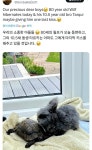 Pgr21 - [동물&귀욤] 토끼와 거북이의 마지막 [동물&귀욤] 토끼와 거북이의 마지막