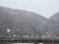 Pgr21 - [기타] 산불로 난리났던 경북 근황. [기타] 산불로 난리났던 경북 근황.