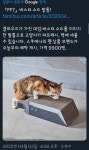 Pgr21 - [서브컬쳐] 회사에 애묘가가 있다고 밖에 볼 수 없는 굿즈 [서브컬쳐] 회사에 애묘가가 있다고 밖에 볼 수 없는 굿즈