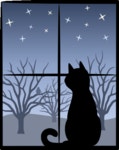 Cat Window Night - Free GIF on Pixabay