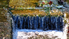 200+ Free Drain & Nature Images - Pixabay