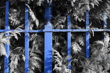 Fence Blue Iron - Free photo on Pixabay Free Image on Pixabay - Fence, Blue, Iron, Shrub, Outdoor