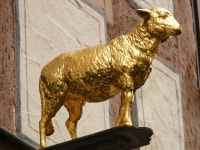 Lamb Golden Inn Nasal - Free photo on Pixabay