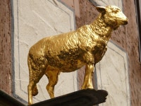 Lamb Golden Inn Nasal - Free photo on Pixabay