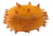 Kiwano Fruit Horn Cucumber - Free photo on Pixabay - Pixabay Kiwano Fruit Horn Cucumber - Free photo on Pixabay