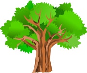 Download Tree, Environment, Ecology. Royalty-Free Vector Graphic - Pixabay Download Tree, Environment, Ecology. Royalty-Free... 