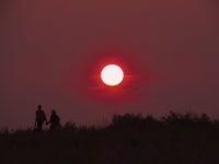 4,000개 이상 무료 우정 및 친구들 사진 - Pixabay