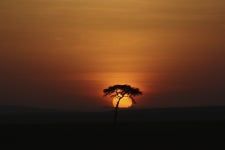 일몰 풍경 해돋이 - Pixabay의 무료 사진