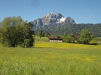 산 Pilatus 루 체 른 · Pixabay의 무료 사진 Pixabay의 무료 이미지 - 산, Pilatus, 루 체 른, 경치, 집, 나무, 호르 브