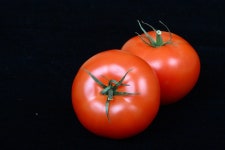 Tomato Vegetable Red Black - Free photo on Pixabay