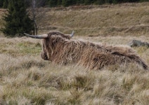 teerkrizkova - Pixabay Download free media from teerkrizkova | Pixabay