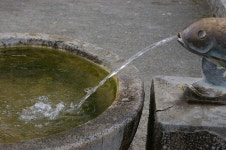 Fountain Water Splash - Free photo on Pixabay Free Image on Pixabay - Fountain, Water, Splash, Fish