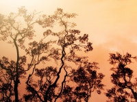 불꽃 산불 태양 - Pixabay의 무료 사진