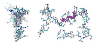 Adrenomedullin 펩 티 드 분자 · Pixabay의 무료 이미지