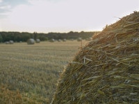 Page 3 - 1,000+ Free Baling & Nature Images - Pixabay