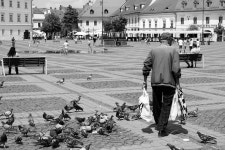 60+ Free Sibiu & Romania Photos - Pixabay