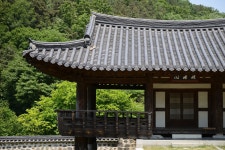 남간정사 봄소식 - Pixabay의 무료 사진