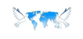 배너 헤더 비둘기 평화의 · Pixabay의 무료 이미지