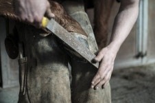 Farrier Horse Hooves - Free photo on Pixabay Free Image on Pixabay - Farrier, Horse, Hooves, Blacksmith