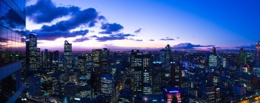 지평선 황혼 멜버른 · Pixabay의 무료 사진