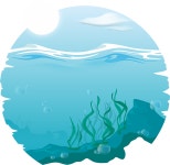 700 + 무료 Seaweed & 해초 이미지 - Pixabay