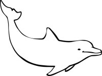 Free Delfin Vector Art - Download 128+ Delfin Icons & Graphics - Pixabay