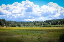 호수 보다 소나무 - Pixabay의 무료 사진