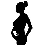 Download Pregnant, Woman, Female. Royalty-Free Stock Illustration Image - Pixabay Download Pregnant, Woman, Female. Royalty-Free... 